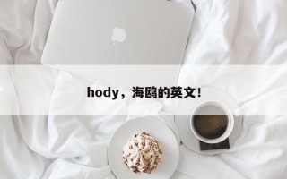 hody，海鸥的英文！