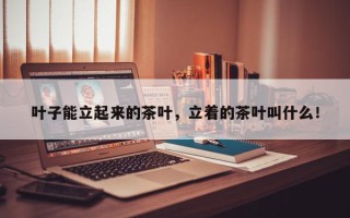 叶子能立起来的茶叶，立着的茶叶叫什么！