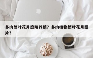 多肉筒叶花月庭院养殖？多肉植物筒叶花月图片？