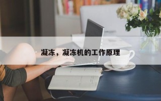 凝冻，凝冻机的工作原理