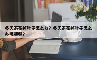 冬天茶花掉叶子怎么办？冬天茶花掉叶子怎么办呢视频？