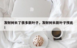 发财树长了很多新叶子，发财树长新叶子预兆！