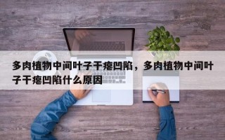 多肉植物中间叶子干瘪凹陷，多肉植物中间叶子干瘪凹陷什么原因