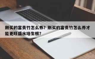 刚买的富贵竹怎么养？刚买的富贵竹怎么养才能更旺盛水培生根？