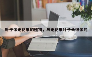 叶子像无花果的植物，与无花果叶子长得像的
