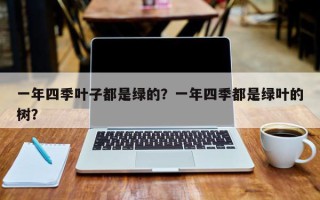 一年四季叶子都是绿的？一年四季都是绿叶的树？