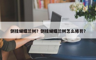 倒挂蝴蝶兰树？倒挂蝴蝶兰树怎么修剪？