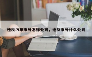 违反汽车限号怎样处罚，违反限号什么处罚