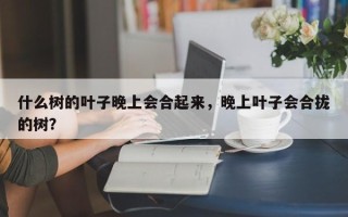 什么树的叶子晚上会合起来，晚上叶子会合拢的树？