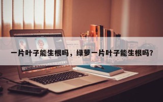 一片叶子能生根吗，绿萝一片叶子能生根吗？