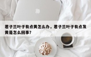 君子兰叶子有点黄怎么办，君子兰叶子有点发黄是怎么回事？