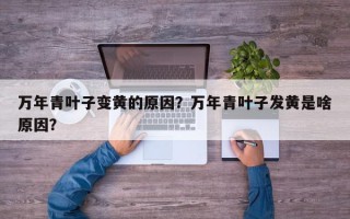 万年青叶子变黄的原因？万年青叶子发黄是啥原因？