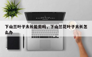 下山兰叶子太长能剪吗，下山兰花叶子太长怎么办