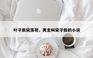 叶子辰宋落初，男主叫宋子辰的小说