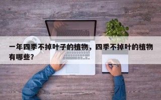 一年四季不掉叶子的植物，四季不掉叶的植物有哪些？