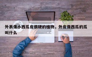 外表像小西瓜皮很硬的植物，外皮像西瓜的瓜叫什么