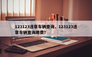 123123违章车辆查询，123123违章车辆查询缴费？