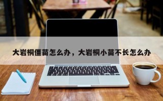 大岩桐僵苗怎么办，大岩桐小苗不长怎么办