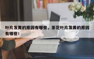 叶片发黄的原因有哪些，茶花叶片发黄的原因有哪些！