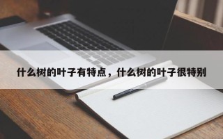 什么树的叶子有特点，什么树的叶子很特别