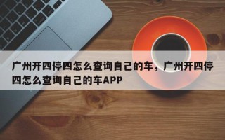 广州开四停四怎么查询自己的车，广州开四停四怎么查询自己的车APP