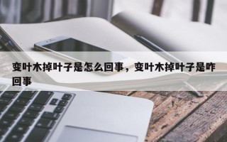 变叶木掉叶子是怎么回事，变叶木掉叶子是咋回事
