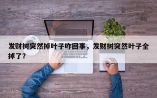 发财树突然掉叶子咋回事，发财树突然叶子全掉了？