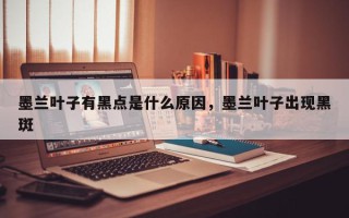 墨兰叶子有黑点是什么原因，墨兰叶子出现黑斑