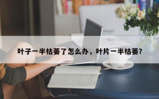 叶子一半枯萎了怎么办，叶片一半枯萎？