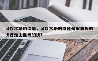 可以水培的绿植，可以水培的绿植是水里长的快还是土里长的快?