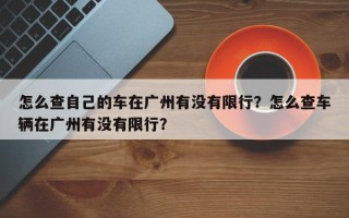 怎么查自己的车在广州有没有限行？怎么查车辆在广州有没有限行？