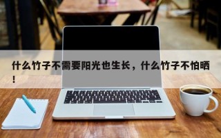 什么竹子不需要阳光也生长，什么竹子不怕晒！