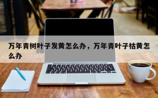 万年青树叶子发黄怎么办，万年青叶子枯黄怎么办