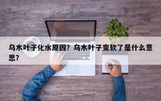 乌木叶子化水原因？乌木叶子变软了是什么意思？