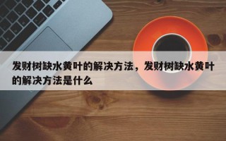 发财树缺水黄叶的解决方法，发财树缺水黄叶的解决方法是什么