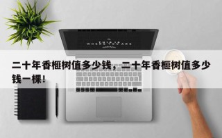 二十年香榧树值多少钱，二十年香榧树值多少钱一棵！