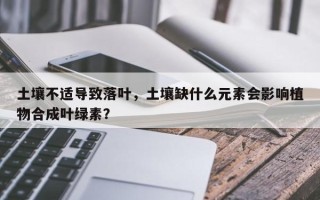 土壤不适导致落叶，土壤缺什么元素会影响植物合成叶绿素？