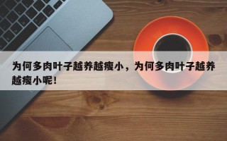 为何多肉叶子越养越瘦小，为何多肉叶子越养越瘦小呢！