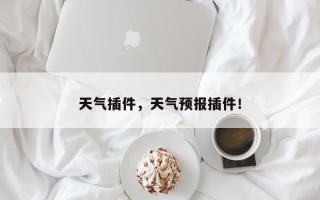 天气插件，天气预报插件！