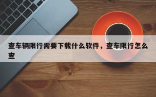 查车辆限行需要下载什么软件，查车限行怎么查