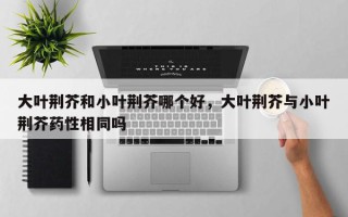大叶荆芥和小叶荆芥哪个好，大叶荆芥与小叶荆芥药性相同吗