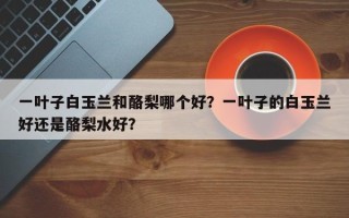 一叶子白玉兰和酪梨哪个好？一叶子的白玉兰好还是酪梨水好？