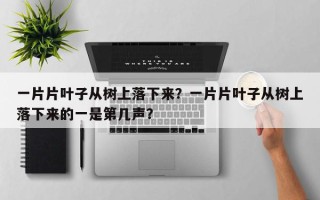 一片片叶子从树上落下来？一片片叶子从树上落下来的一是第几声？