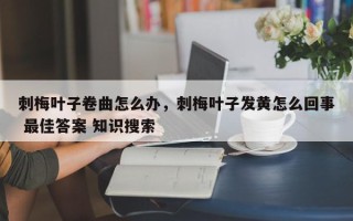 刺梅叶子卷曲怎么办，刺梅叶子发黄怎么回事 最佳答案 知识搜索