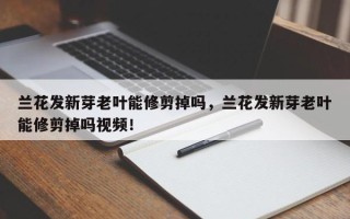 兰花发新芽老叶能修剪掉吗，兰花发新芽老叶能修剪掉吗视频！