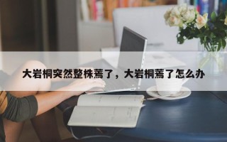 大岩桐突然整株蔫了，大岩桐蔫了怎么办