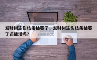 发财树冻伤枝条枯萎了，发财树冻伤枝条枯萎了还能活吗？