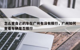 怎么查自己的车在广州有没有限行，广州如何查看车辆是否限行