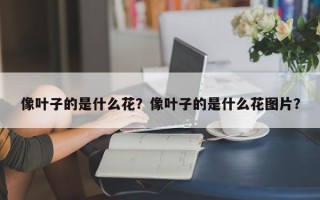 像叶子的是什么花？像叶子的是什么花图片？