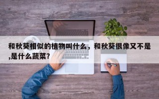 和秋葵相似的植物叫什么，和秋葵很像又不是,是什么蔬菜？
